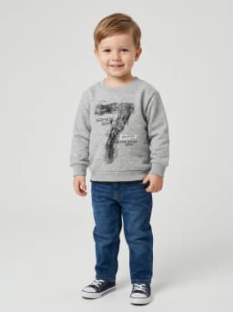 Boys Heather Grey Graphic Print Crew Neck Sweatshirt